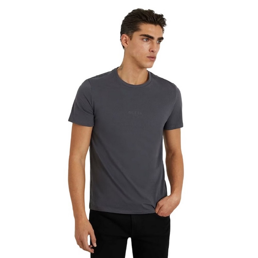 GUESS AIDY T-SHIRT ΜΠΛΟΥΖΑ ΑΝΔΡΙΚΗ GREY