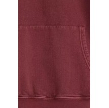 LEVIS® THE AUTHENTIC HOODIE ΦΟΥΤΕΡ ΜΠΛΟΥΖΑ ΑΝΔΡΙΚΗ BORDEUAX