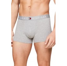 TOMMY HILFIGER 3P TRUNK WB ΕΣΩΡΟΥΧΟ ΑΝΔΡΙΚΟ BLUE/ GREY
