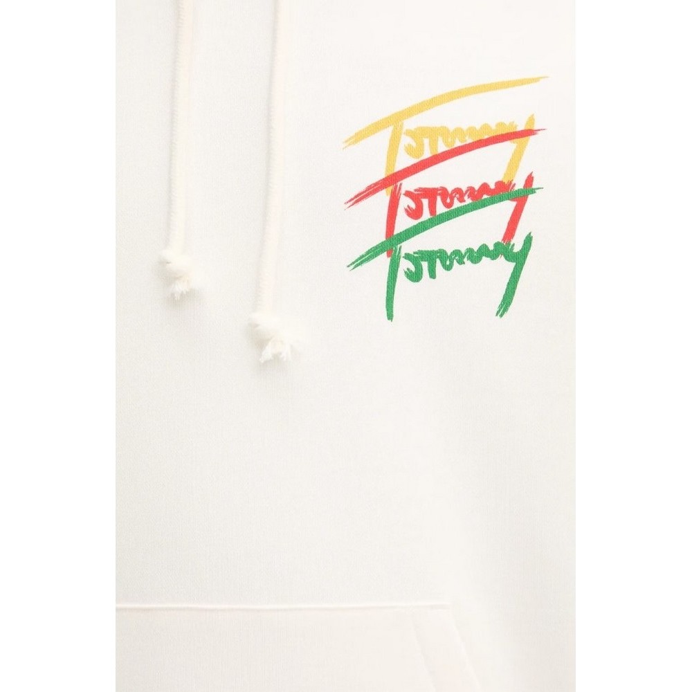 TOMMY JEANS RLX 3 COLOR SIGNATURE HOODIE ΦΟΥΤΕΡ ΑΝΔΡΙΚΟ OFF WHITE