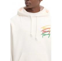 TOMMY JEANS RLX 3 COLOR SIGNATURE HOODIE ΦΟΥΤΕΡ ΑΝΔΡΙΚΟ OFF WHITE