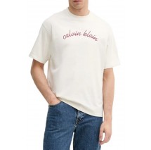 CALVIN KLEIN JEANS CNTR CHN STTCH 16 T-SHIRT ΜΠΛΟΥΖΑ ΑΝΔΡΙΚΗ OFF WHITE