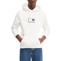 TOMMY JEANS REG POP CLR FLAG HOODIE EXT ΦΟΥΤΕΡ ΜΠΛΟΥΖΑ ΑΝΔΡΙΚΗ OFF WHITE