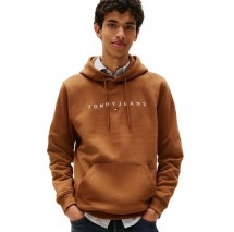 TOMMY JEANS REG LINEAR LOGO HOODIE EXT  ΜΠΛΟΥΖΑ ΦΟΥΤΕΡ ΑΝΔΡΙΚΗ BROWN