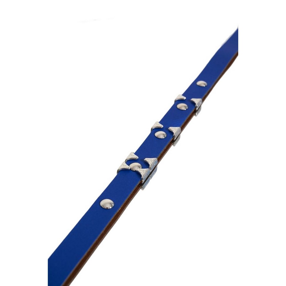 ALE ΖΩΝΗ ΓΥΝΑΙΚΕΙΑ BLUE