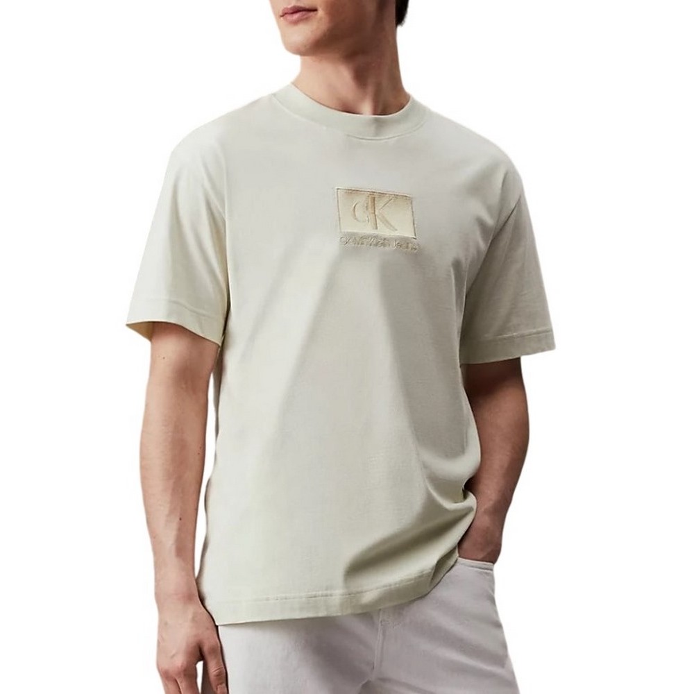 CALVIN KLEIN JEANS EMBROIDERY PATCH T-SHIRT ΜΠΛΟΥΖΑ ΑΝΔΡΙΚΗ ICICLE