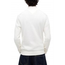 TOMMY JEANS SLM ESS LIGHT ΒΌ ZIP SWTR EXT ΜΠΛΟΥΖΑ ΠΛΕΚΤΗ ΑΝΔΡΙΚΗ OFF WHITE