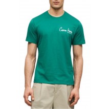 CALVIN KLEIN JEANS 30S EU WHOLESALE JEANS GRAPHICS T-SHIRT ΜΠΛΟΥΖΑ ΑΝΔΡΙΚΗ GREEN
