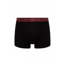 TOMMY HILFIGER 3P TRUNK METALLIC WB MULTI