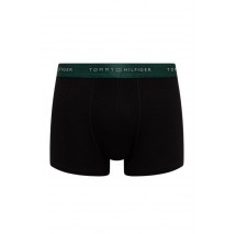 TOMMY HILFIGER 3P TRUNK METALLIC WB MULTI