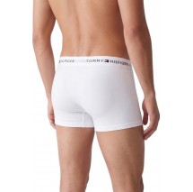 TOMMY HILFIGER 3P TRUNK ΕΣΩΡΟΥΧΟ ΑΝΔΡΙΚΟ BLK/GREY/WHIT