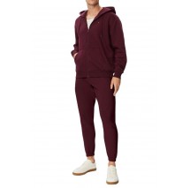 TOMMY JEANS REG S FLAG ZIP THRU ΖΑΚΕΤΑ ΦΟΥΤΕΡ ΑΝΔΡΙΚΗ BORDEAUX