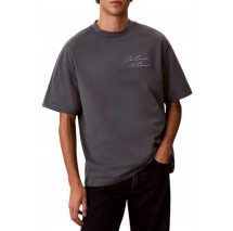 CALVIN KLEIN JEANS 16S APRIL GRAPHIC SEASONAL T-SHIRT ΜΠΛΟΥΖΑ ΑΝΔΡΙΚΗ GREY