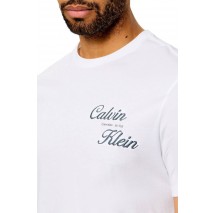 CALVIN KLEIN JEANS 30s EU CALVIN KLEIN RESRT GRA T-SHIRT ΜΠΛΟΥΖΑ ΑΝΔΡΙΚΗ BRIGHT WHITE