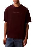 CALVIN KLEIN STANDARD LOGO 30S CREWNK T-SHIRT ΜΠΛΟΥΖΑ ΑΝΔΡΙΚΗ WINE