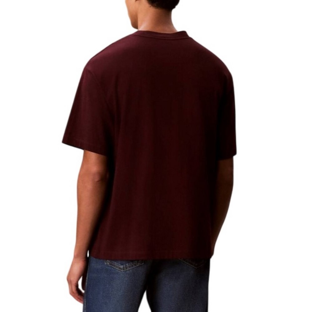 CALVIN KLEIN STANDARD LOGO 30S CREWNK T-SHIRT ΜΠΛΟΥΖΑ ΑΝΔΡΙΚΗ WINE