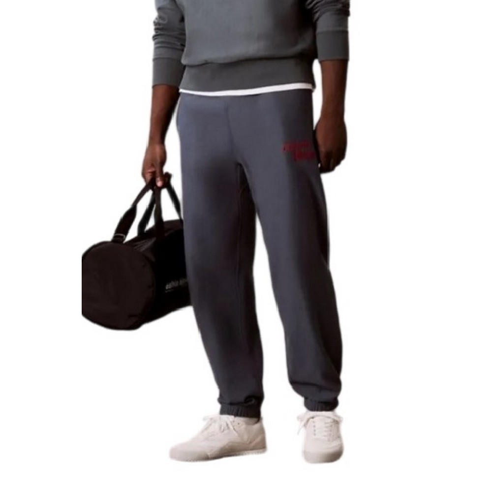 CALVIN KLEIN JEANS PREMIUM TERRY GRAPHIC JOGGER ΠΑΝΤΕΛΟΝΙ ΦΟΡΜΑ ΑΝΔΡΙΚΟ SLATE GRAY