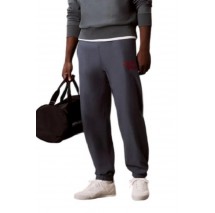 CALVIN KLEIN JEANS PREMIUM TERRY GRAPHIC JOGGER ΠΑΝΤΕΛΟΝΙ ΦΟΡΜΑ ΑΝΔΡΙΚΟ SLATE GRAY