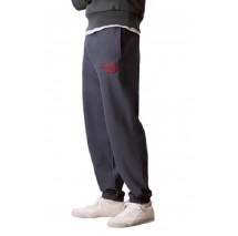 CALVIN KLEIN JEANS PREMIUM TERRY GRAPHIC JOGGER ΠΑΝΤΕΛΟΝΙ ΦΟΡΜΑ ΑΝΔΡΙΚΟ SLATE GRAY