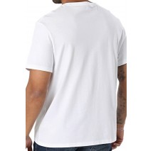 CALVIN KLEIN JEANS DBSS MN GR T-SHIRT ΜΠΛΟΥΖΑ ΑΝΔΡΙΚΗ BRIGHT WHITE