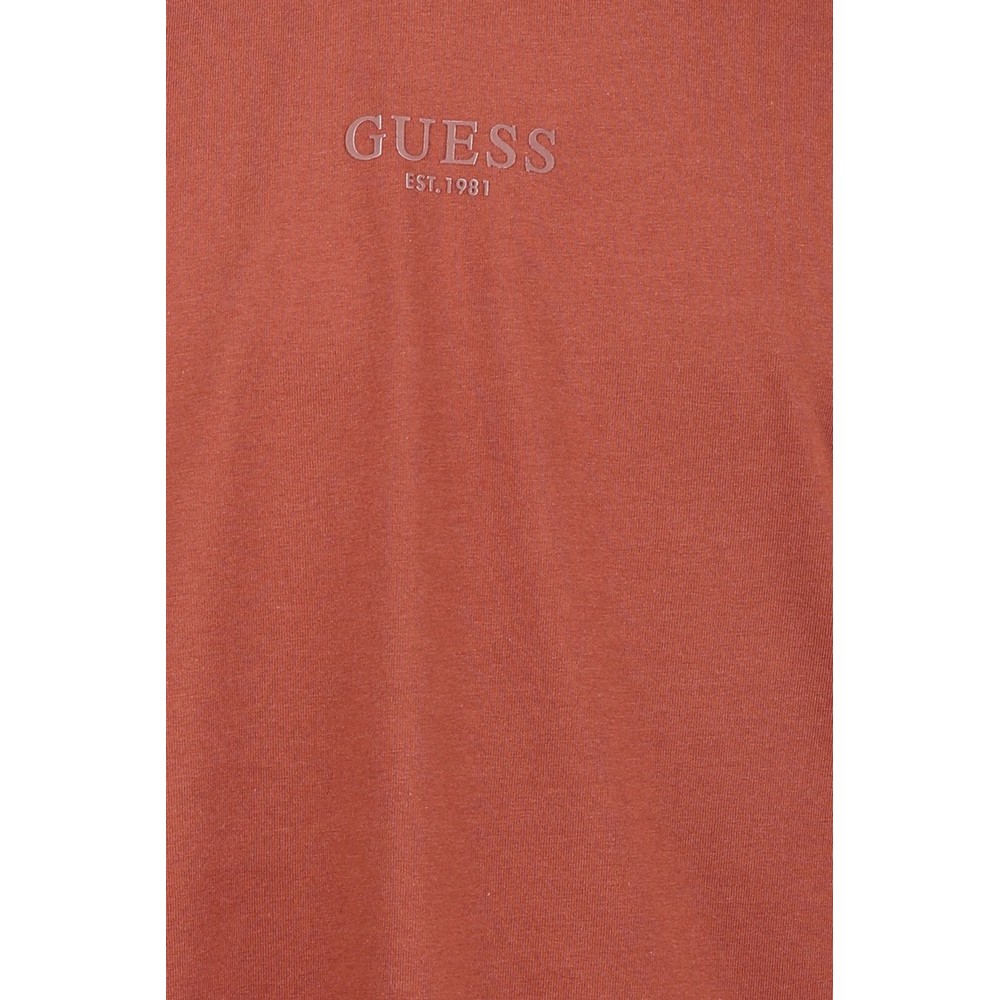 GUESS AIDY T-SHIRT ΜΠΛΟΥΖΑ ΑΝΔΡΙΚΗ BROWN