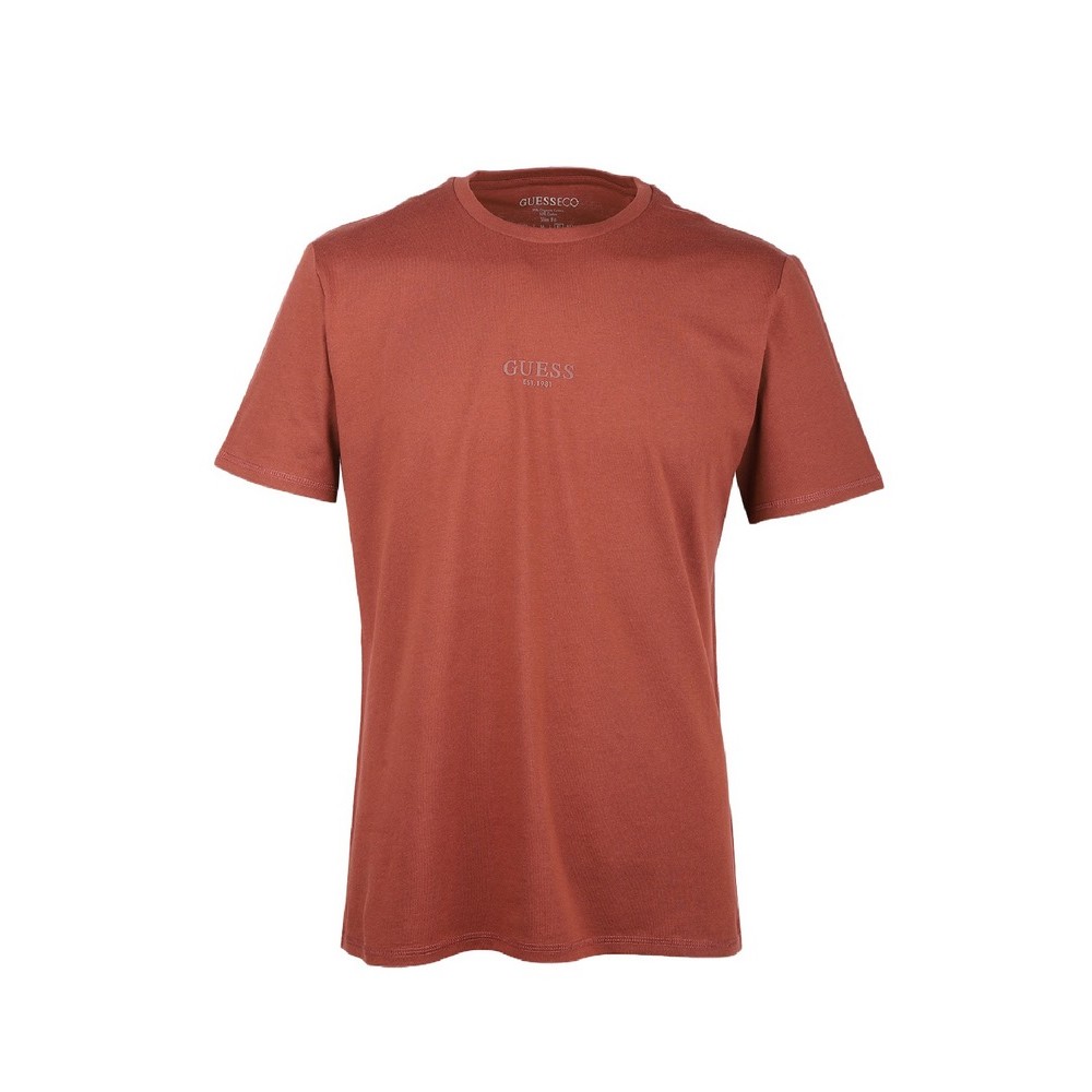 GUESS AIDY T-SHIRT ΜΠΛΟΥΖΑ ΑΝΔΡΙΚΗ BROWN