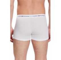 TOMMY HILFIGER 3P TRUNK  ΕΣΩΡΟΥΧΟ ΑΝΔΡΙΚΟ MULTI