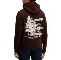 TOMMY JEANS RLX NOVELTY GRAPHIC HOODIE ΦΟΥΤΕΡ ΜΠΛΟΥΖΑ ΑΝΔΡΙΚΗ BROWN