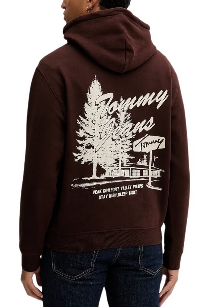 TOMMY JEANS RLX NOVELTY GRAPHIC HOODIE ΦΟΥΤΕΡ ΜΠΛΟΥΖΑ ΑΝΔΡΙΚΗ BROWN