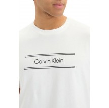 CALVIN KLEIN 20s EU SPW STNDRD GRAPHIC T-SHIRT ΜΠΛΟΥΖΑ ΑΝΔΡΙΚΗ BRIGHT WHITE