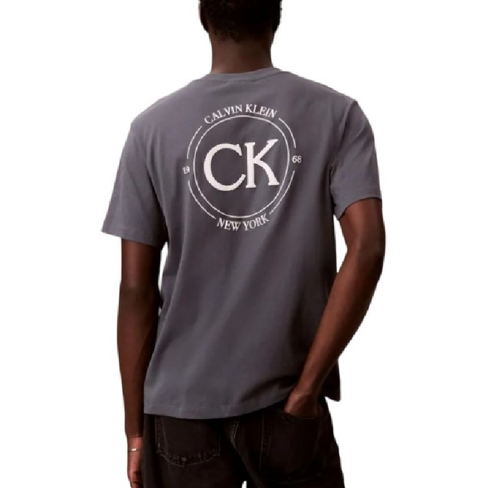 CALVIN KLEIN JEANS 20S APRIL GRAPHIC SEASONAL T-SHIRT ΜΠΛΟΥΖΑ ΑΝΔΡΙΚΗ GREY