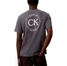 CALVIN KLEIN JEANS 20S APRIL GRAPHIC SEASONAL T-SHIRT ΜΠΛΟΥΖΑ ΑΝΔΡΙΚΗ GREY