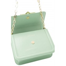 CHIARA FERRAGNI RANGE B - EYELIKE BUCKLE LIZARD ΤΣΑΝΤΑ ΓΥΝΑΙΚΕΙΟ MINT